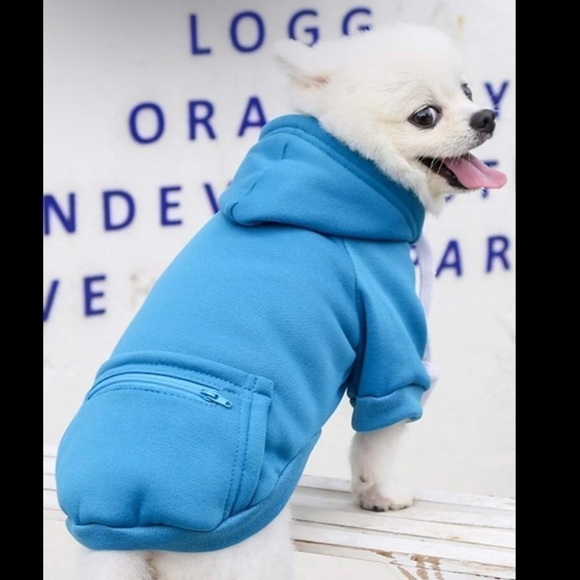 Blue Hoodie with zipper Detail For Dog🐾⭐️ - Picture 2 of 4